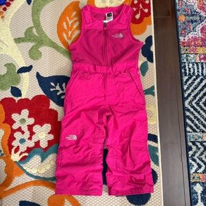 The north face ski suit